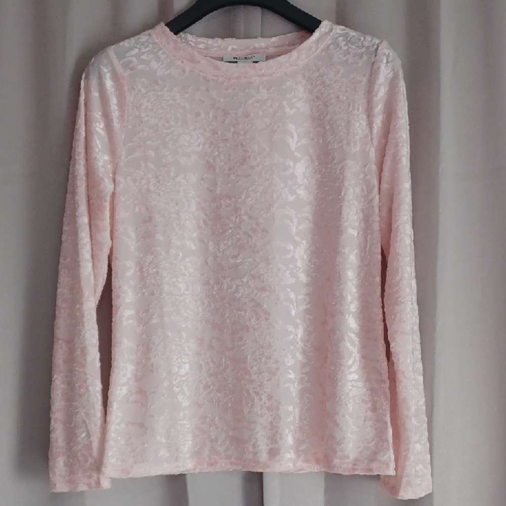 White House Black Market Pale Pink Velvet Burnout Long Sleeve Crewneck Shirt